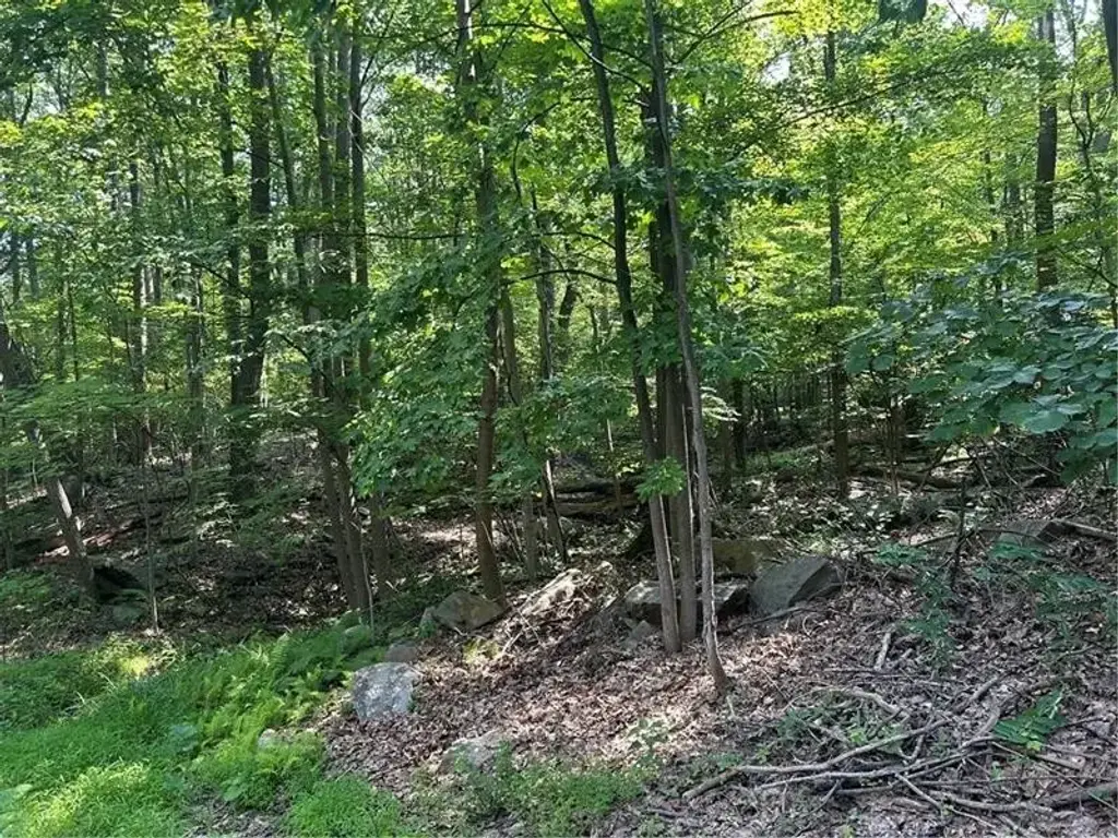 Lot 934 Ski Slope Road , Bullskin