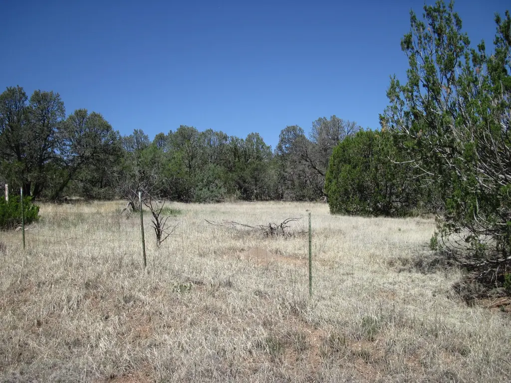 156 Jesse James Road, Edgewood