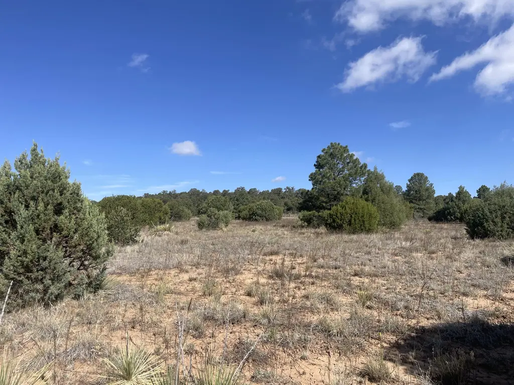 119 Anaya Road, Tijeras