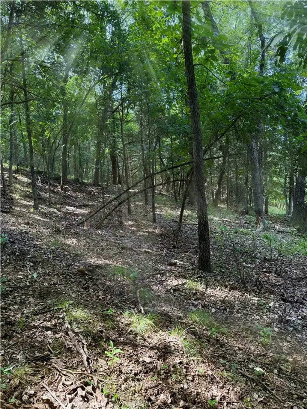 Lot 40 Pine Drive, Garfield