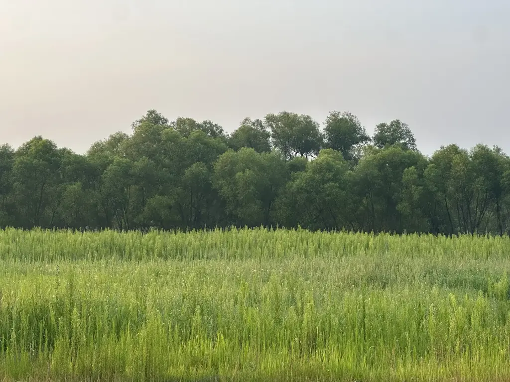 Lot 4 28th Avenue, Elk Mound