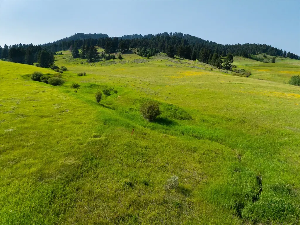 Lot 6 Jackson Creek Road, Bozeman