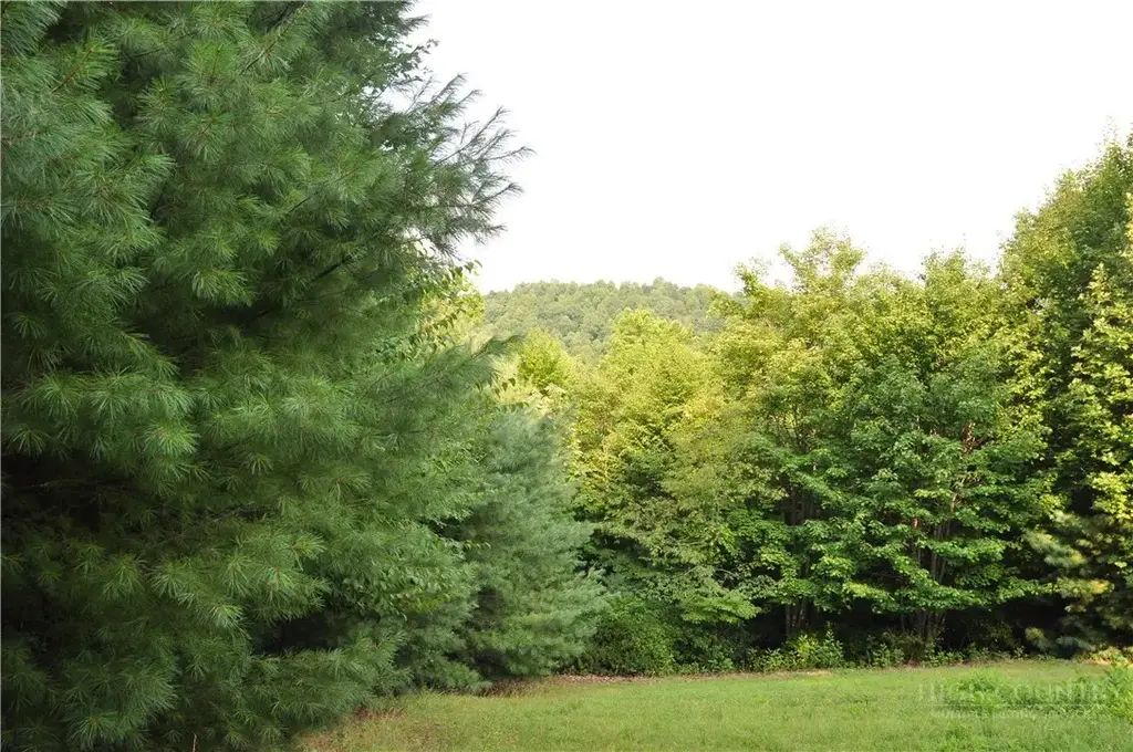Tbd Highland Laurel Lane, Deep Gap