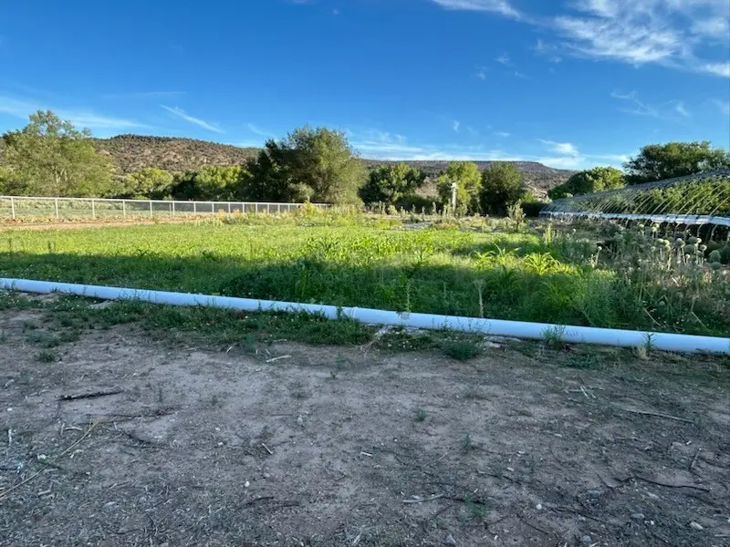 107 Cr 51, Velarde