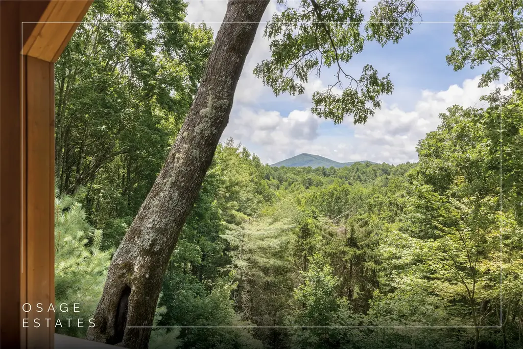 170 Osage Lane, Scaly Mountain