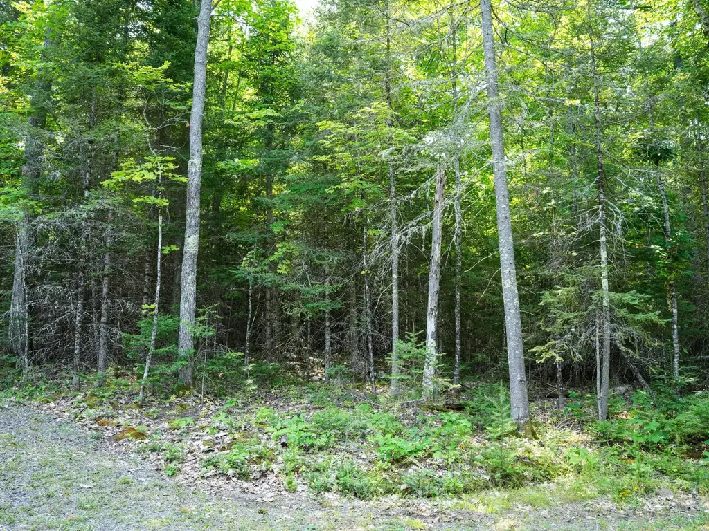 Lot 8 Hunters Ridge Rd, Phelps