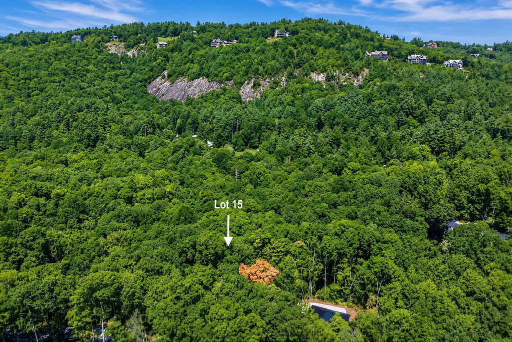 15 Lone Panther Ridge, Cashiers