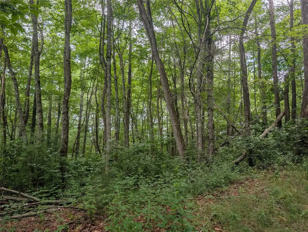 Lot 2 Highlands Gap Road, Scaly Mountain