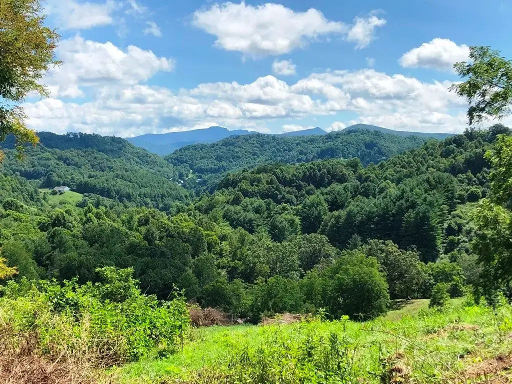 866 Georges Gap Road, Vilas