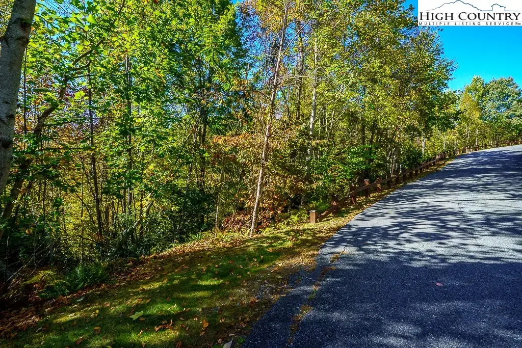 Lot 39 Tbd Pine Cove Road, Elk Park