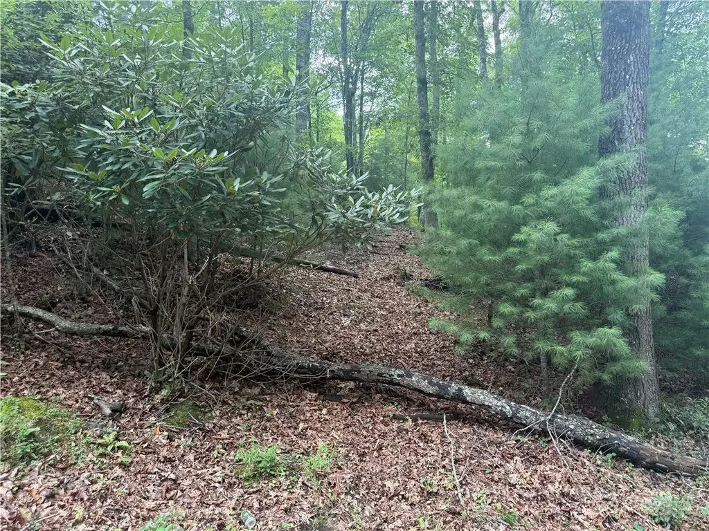 Lot 1 Skye Ridge Drive, West Jefferson