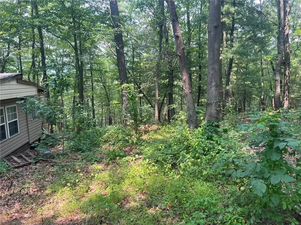 6927 Chaneysville Road , Other