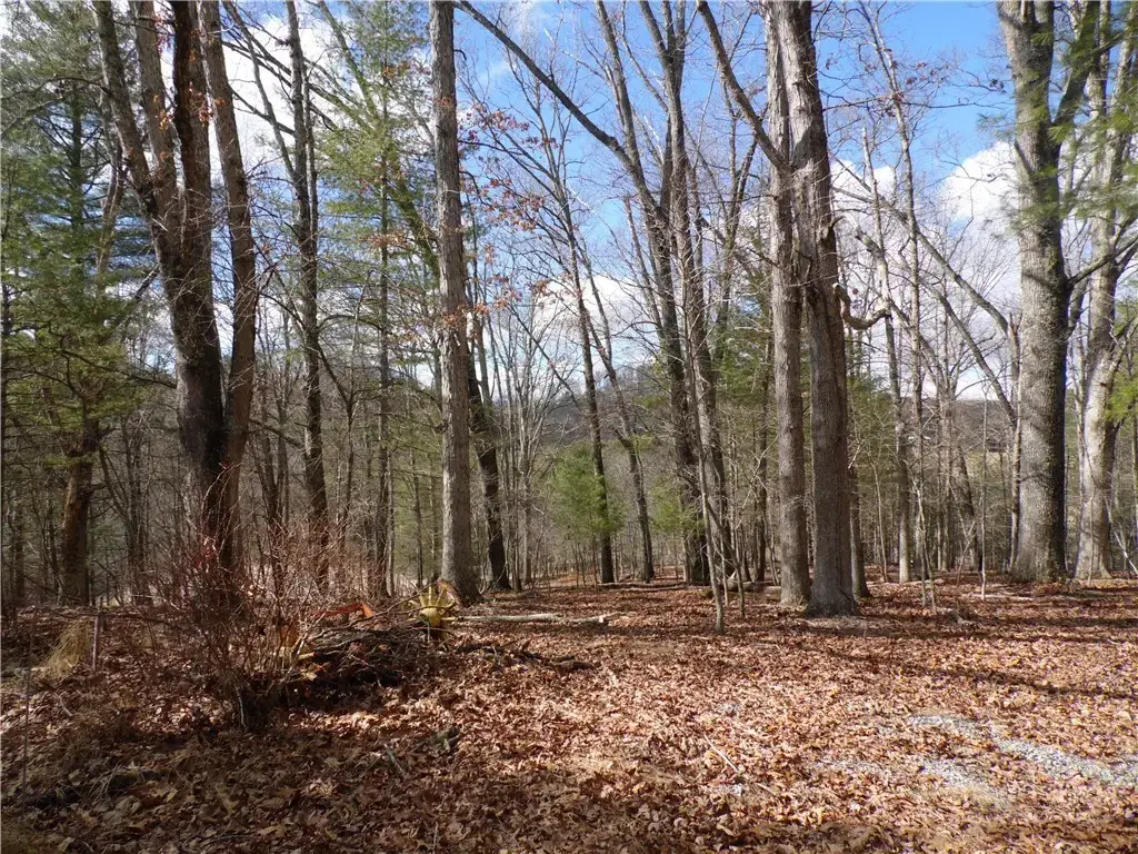 Tbd Happy Woods Drive, Piney Creek