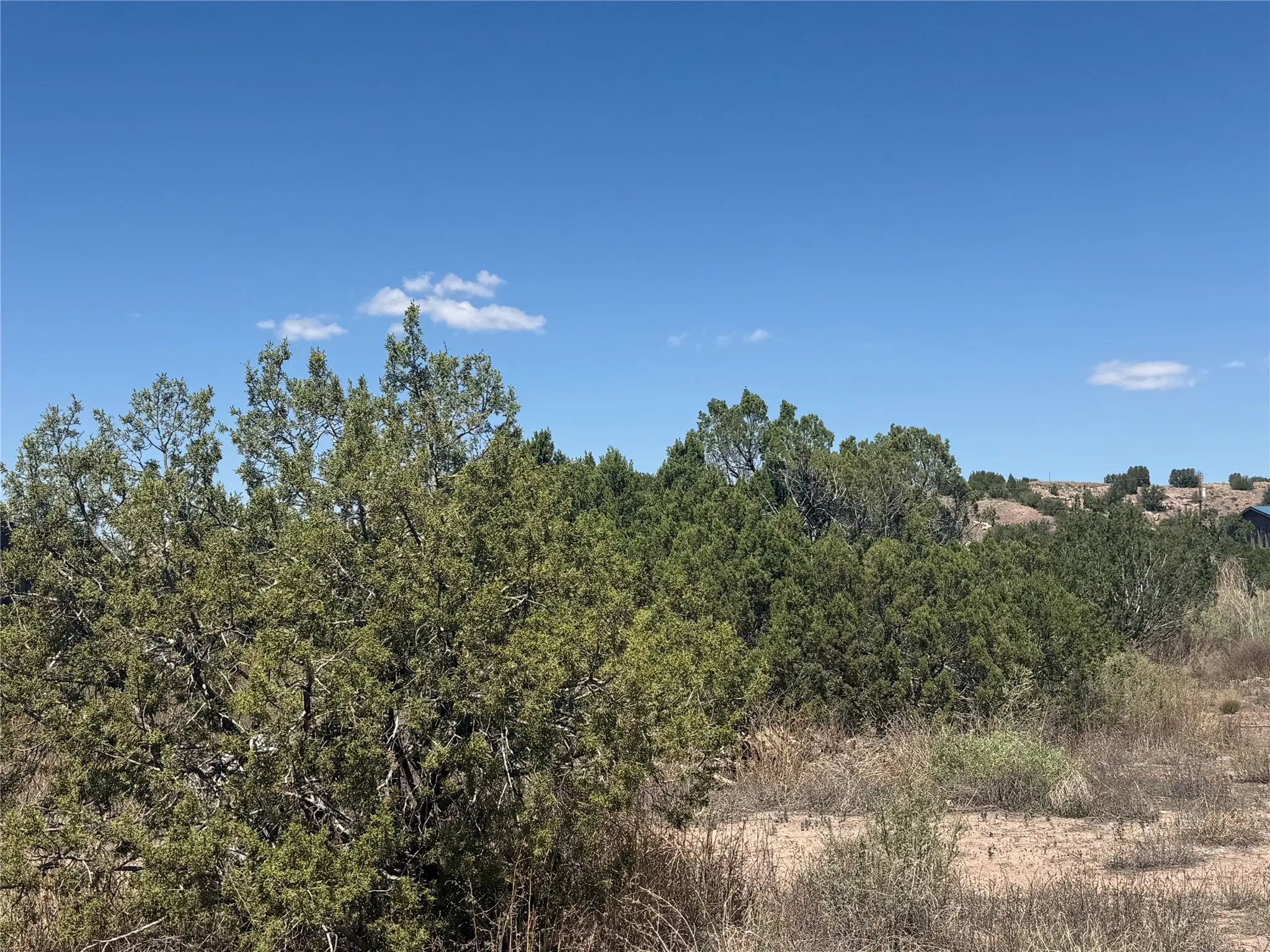 13 Rockridge, Cerrillos