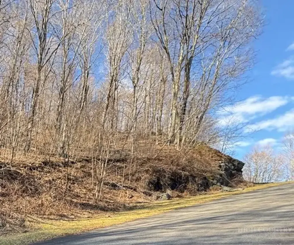 Lot 32 Jewel Weed Trail, Newland