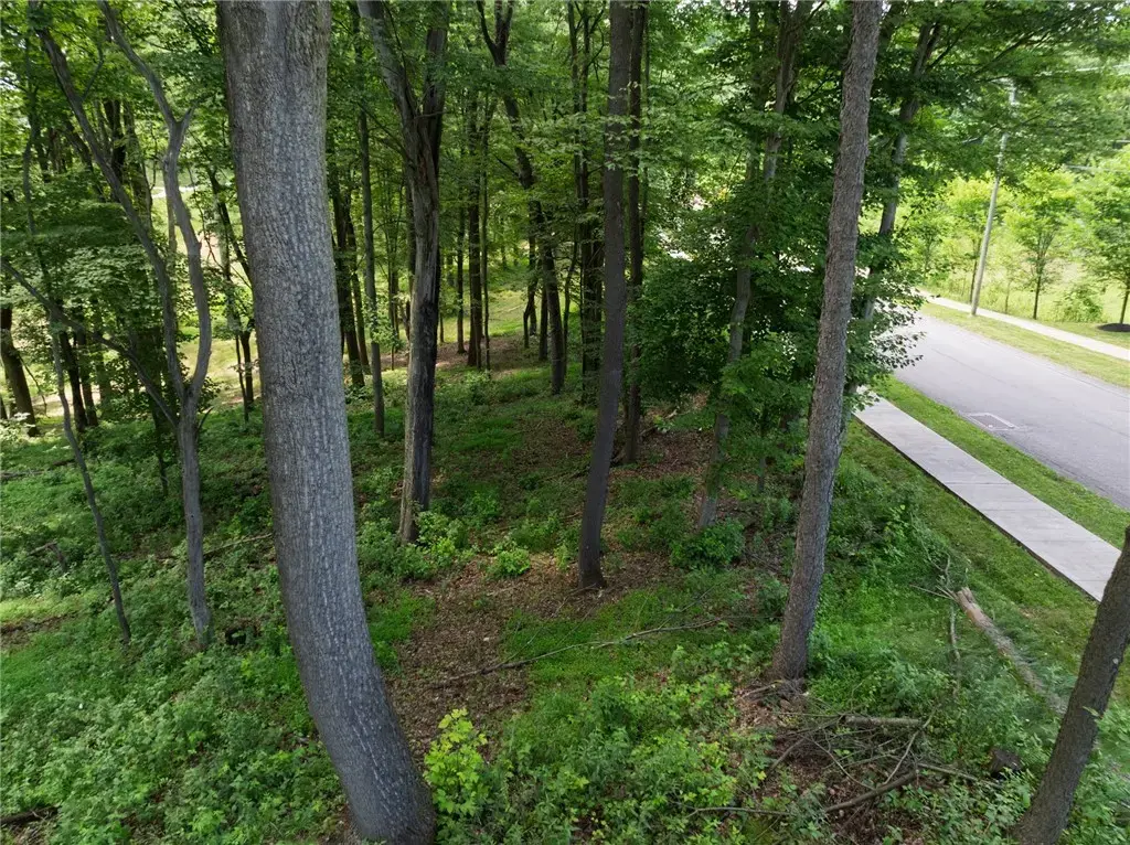 805 Mount Pleasant Road , Pine
