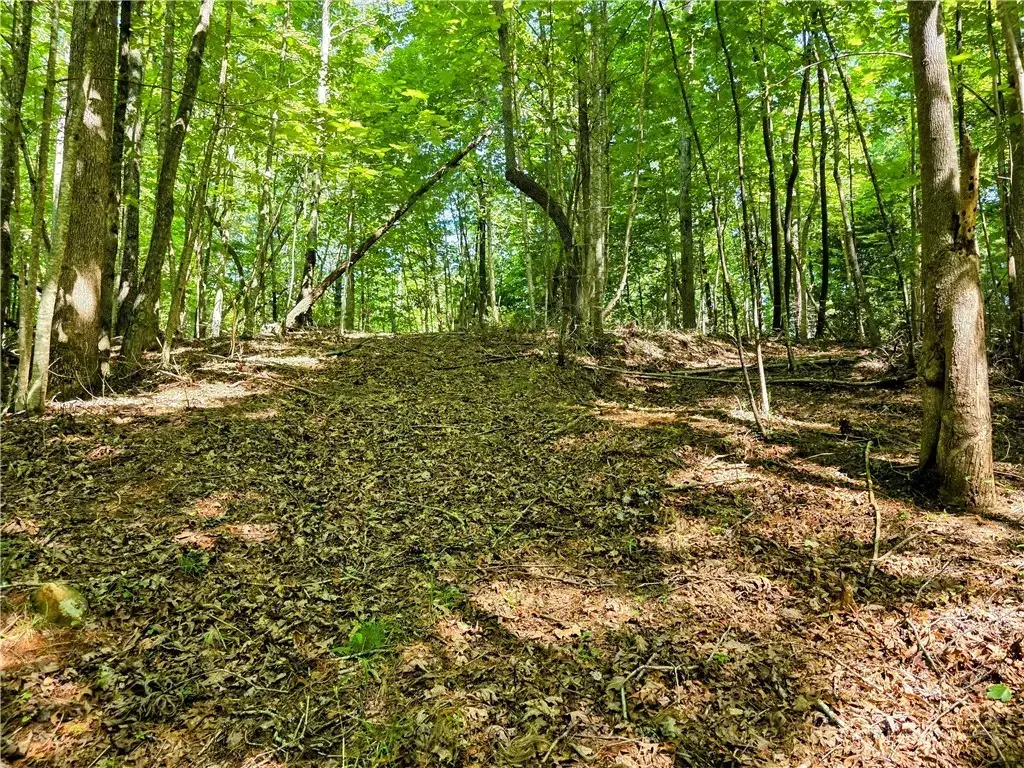 Lot 2b Brightwood Trail, Deep Gap