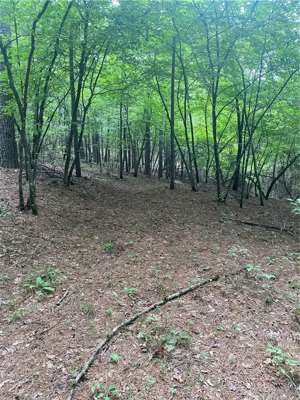 Tbd Cr 5211, Oark