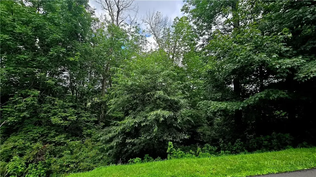 Lot 6 Boone Ridge Lane, Boone