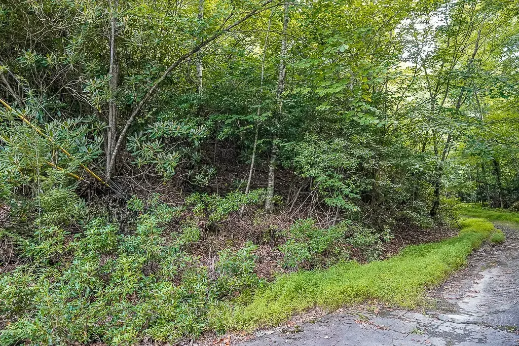 101 Chipmunk Lane, Beech Mountain