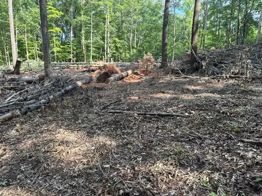 Lot 1 Bobcat Pass Us Hwy 29 N, Opelika