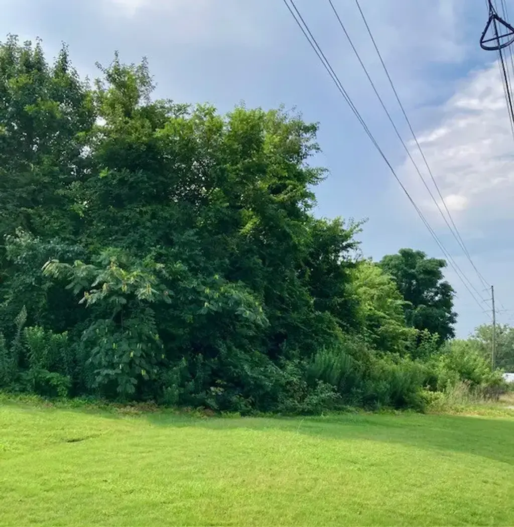 Lafayette Pkwy, Opelika