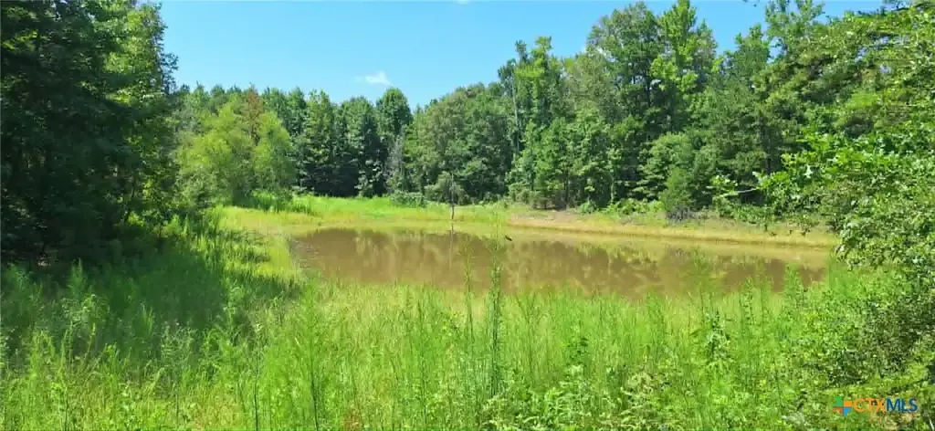 Tbd Red Maple Road, Big Sandy