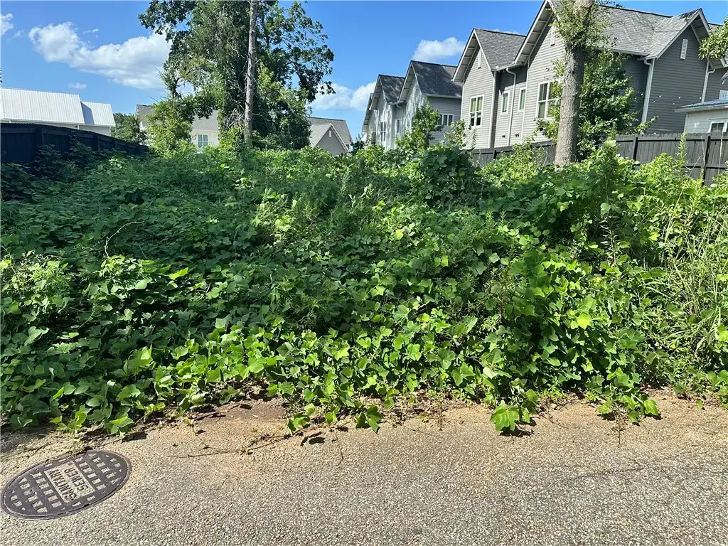 549 Bryant Ave, Auburn