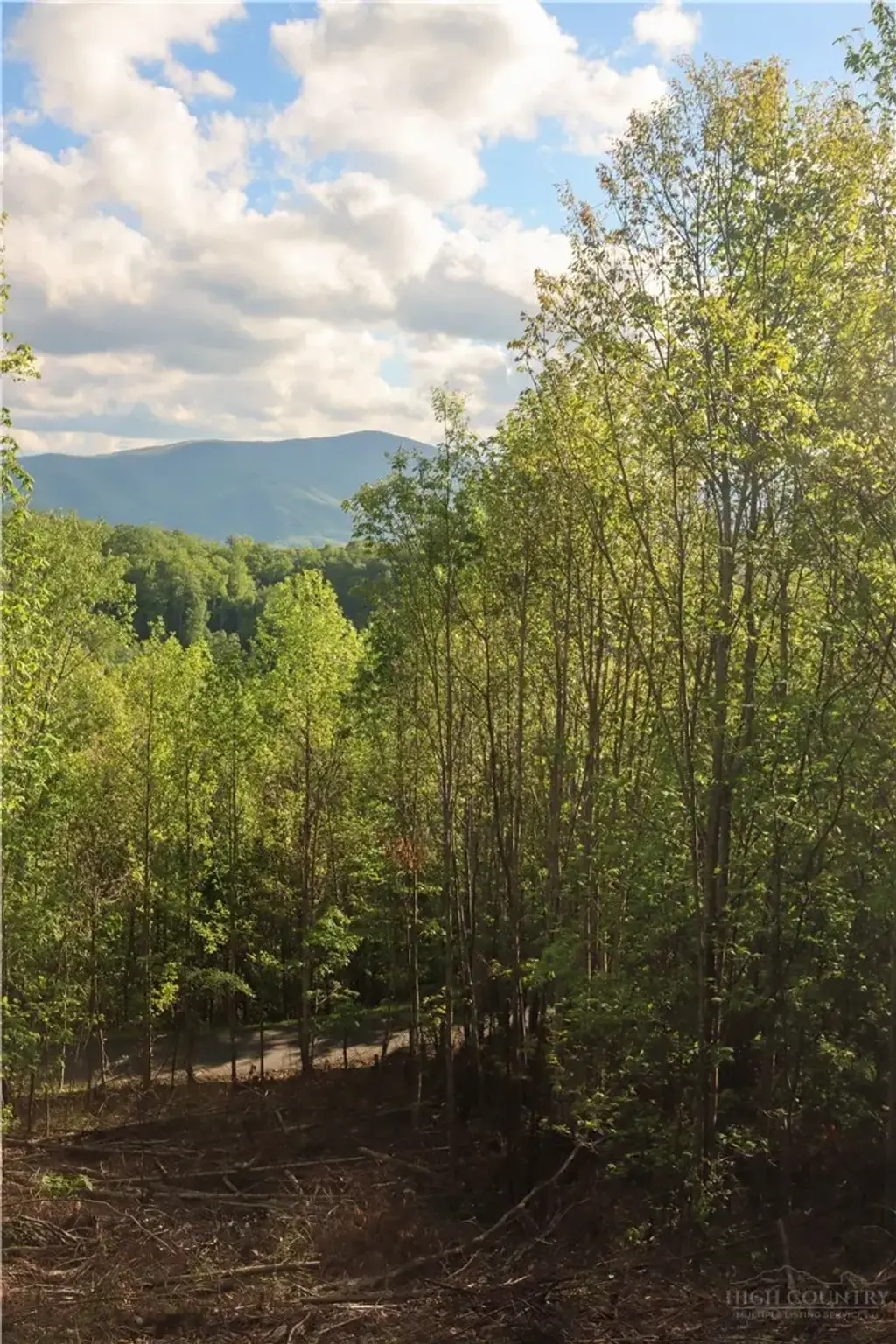 Lot 25 Tbd Lake View Drive, Elk Park