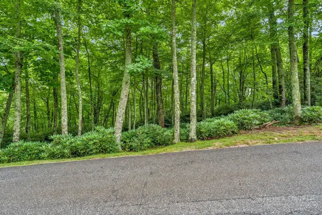 Lot 408 Tbd Firethorn Trail, Blowing Rock