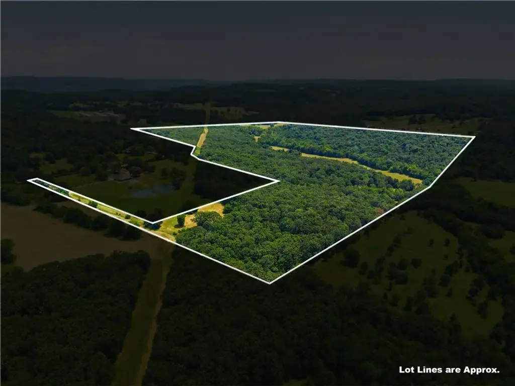 11373 Colcleasure (wc 135) Road 106 Acres, Fayetteville