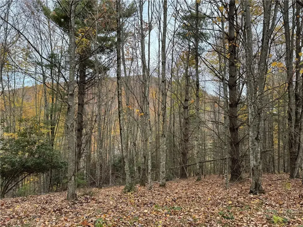 Tbd Rominger Road, Banner Elk