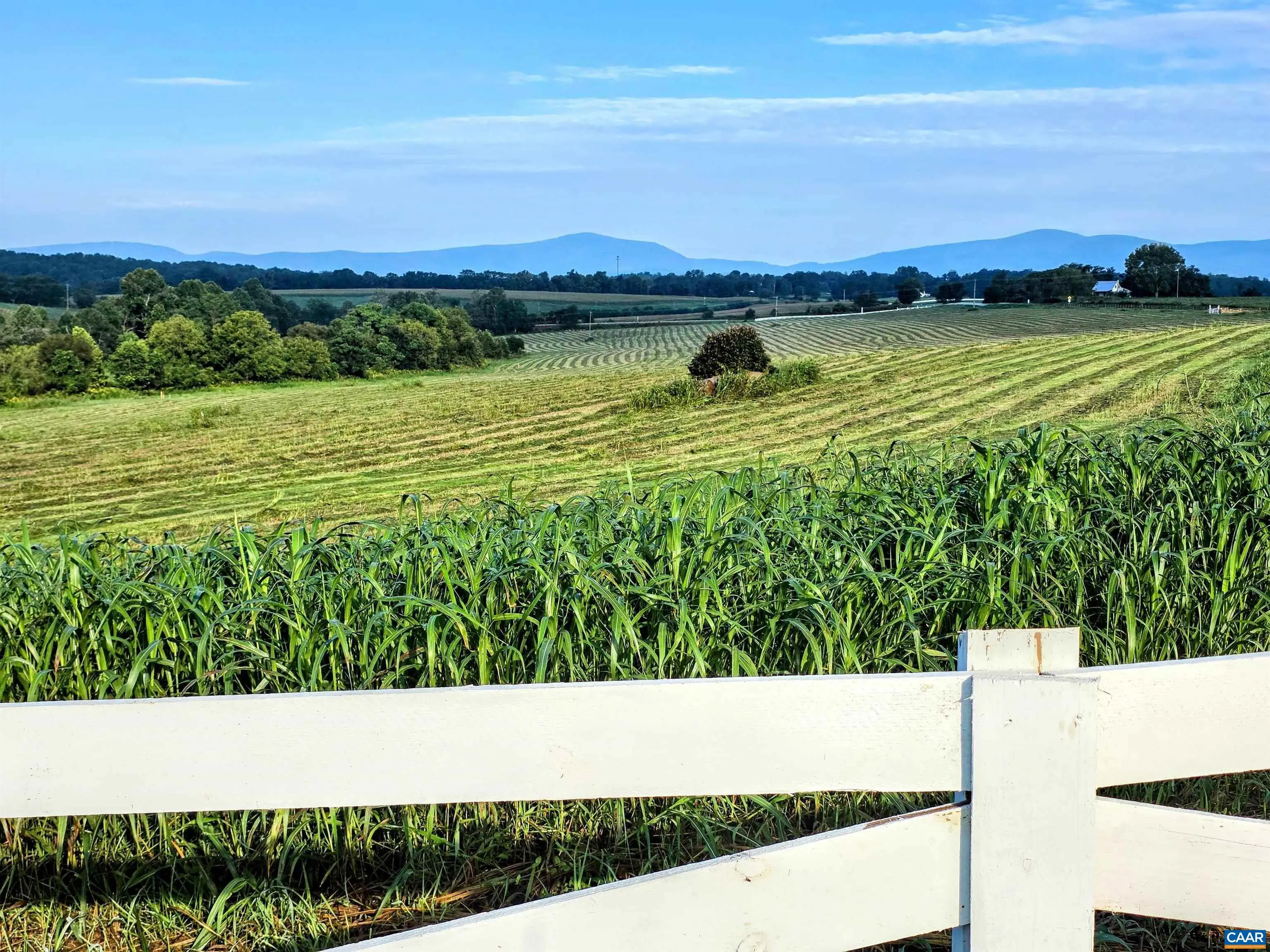 Lot 15 Fredericksburg Rd, Ruckersville