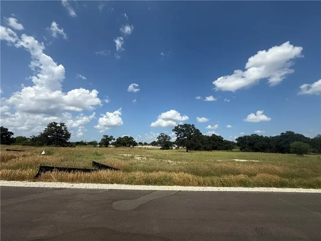 5463 Cedar Elm Drive, College Station