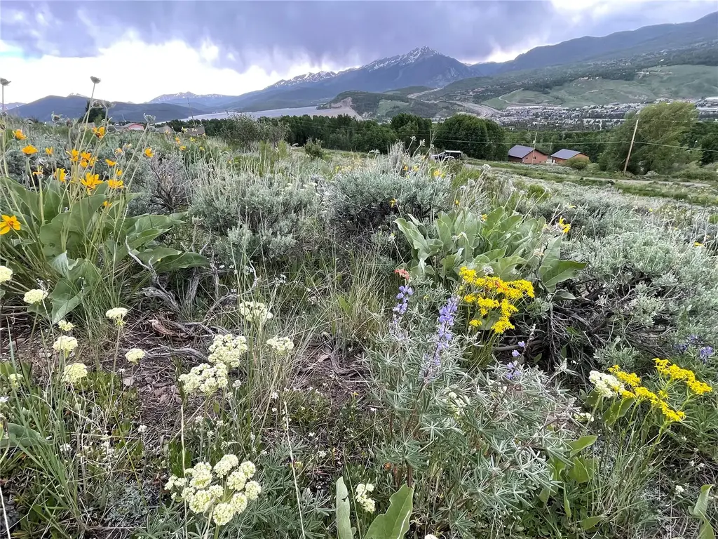 371 Z Road, Silverthorne