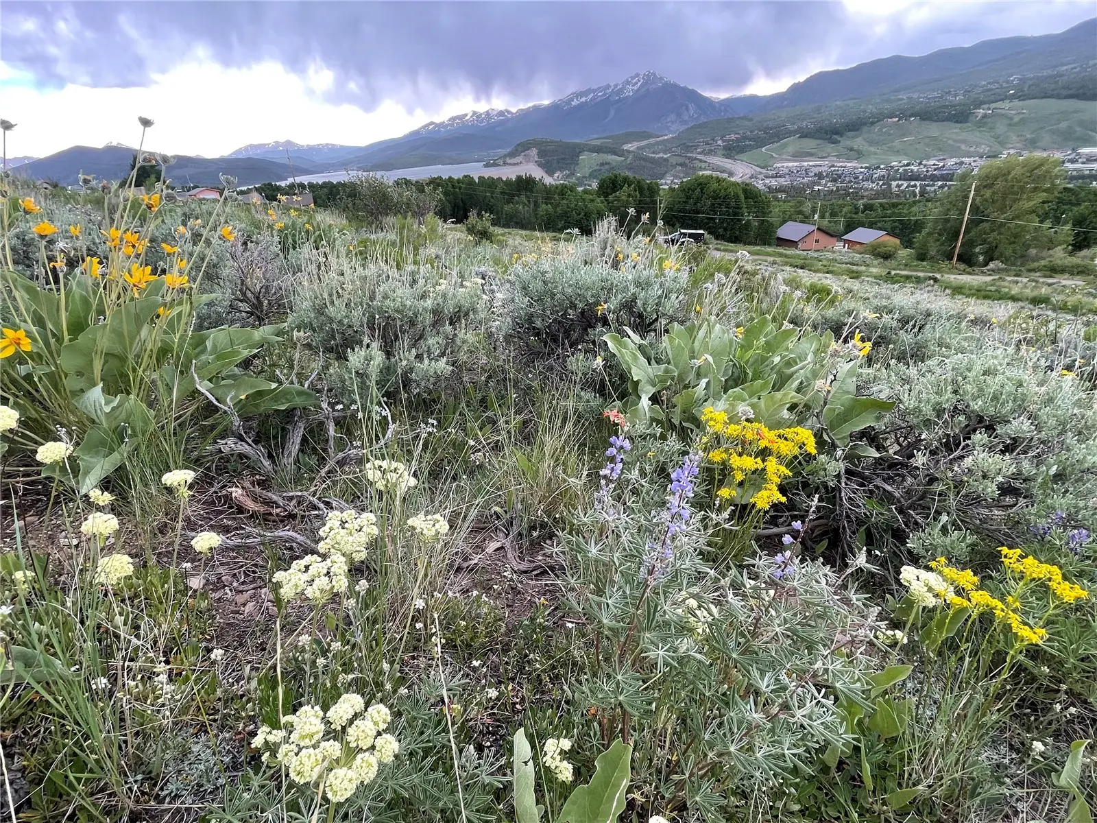 371 Z Road, Silverthorne