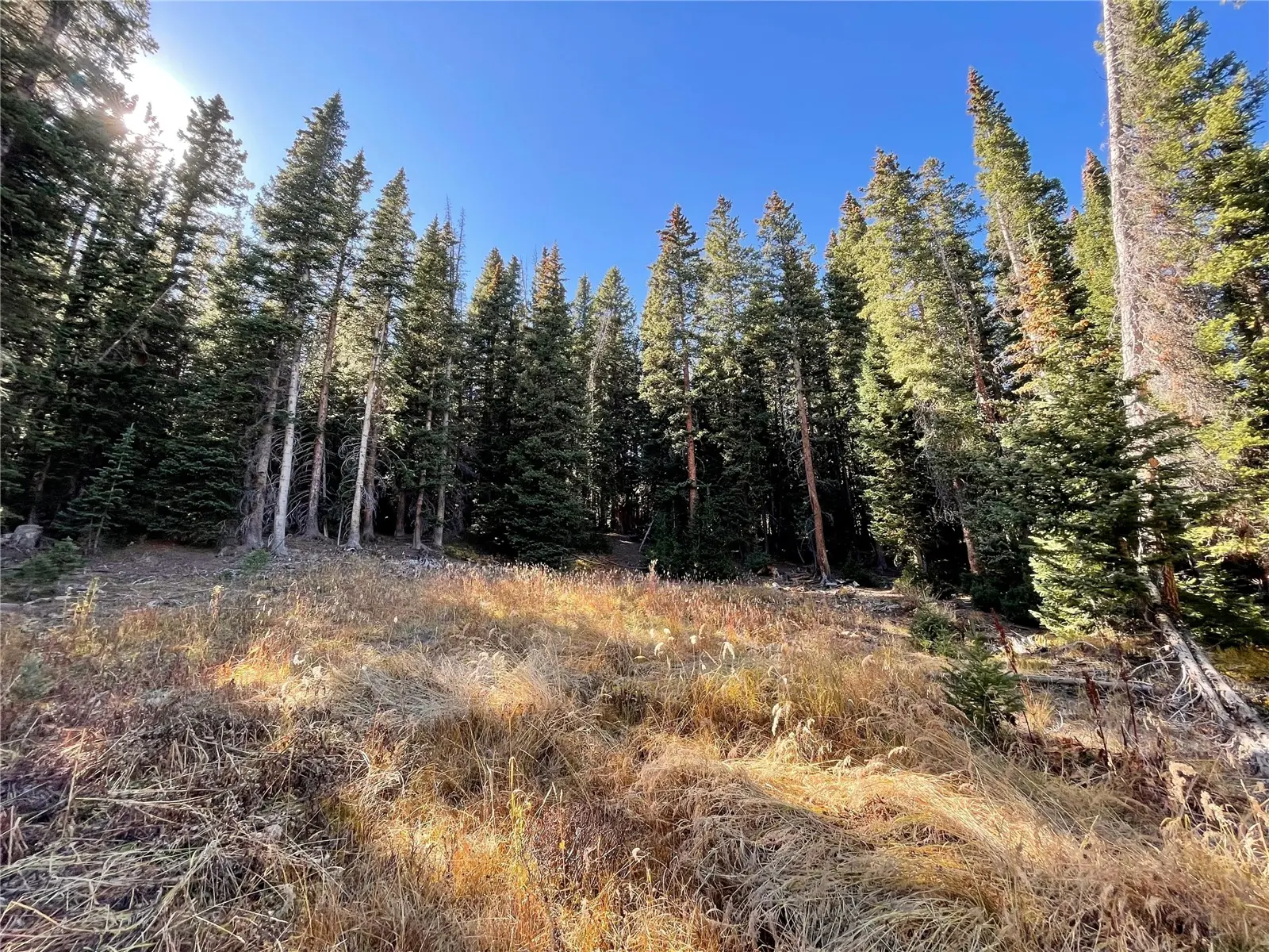 11 Kimmes Lane, Breckenridge