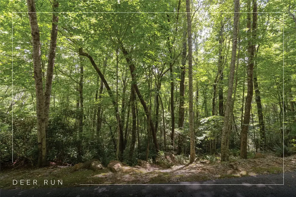 Lot 54 Toxaway Lane, Sapphire