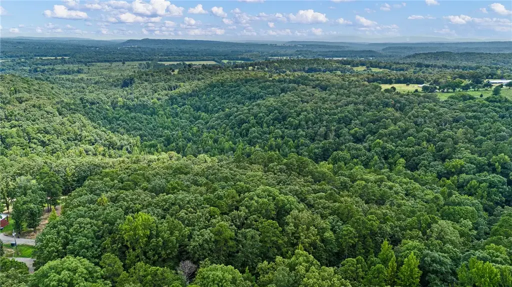 Whitetail Trail, Dover