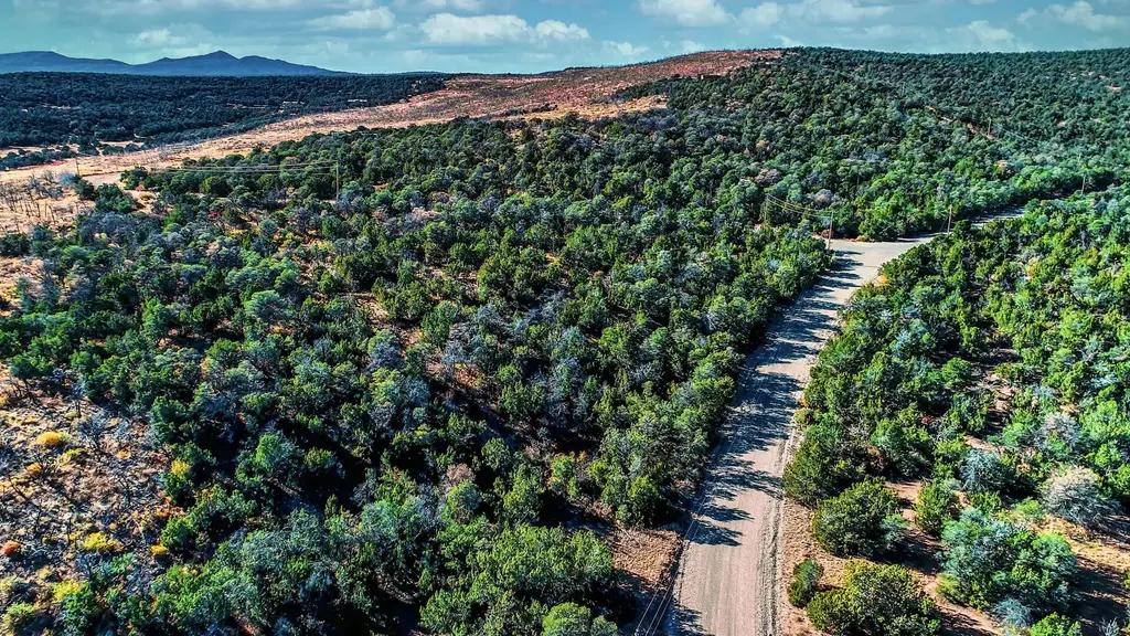 Twin Peaks Dr Drive, Estancia