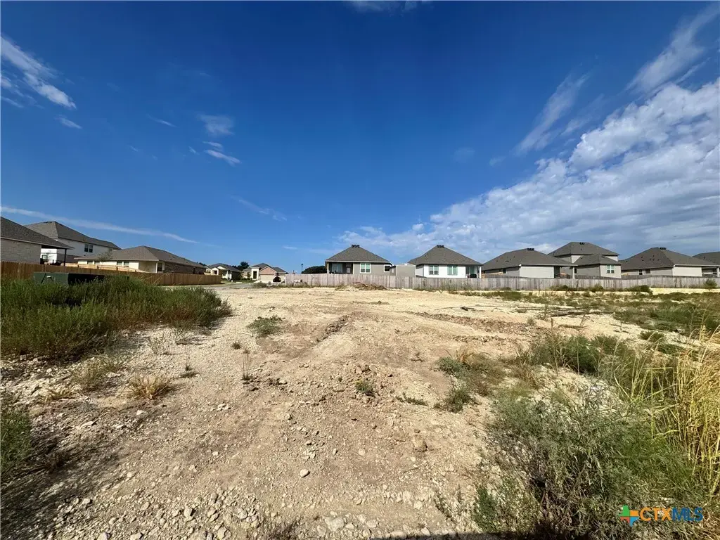 141 Nettie Drive, Killeen