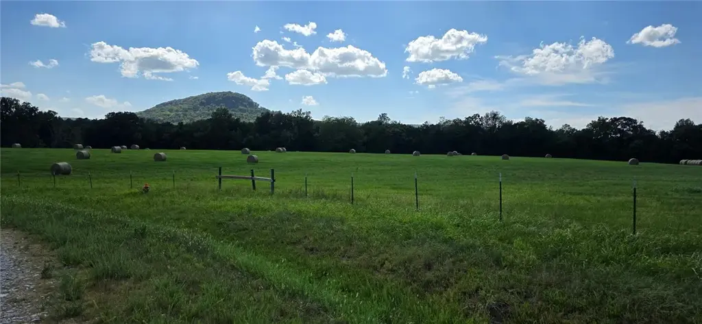 Starlite Drive, Harrison