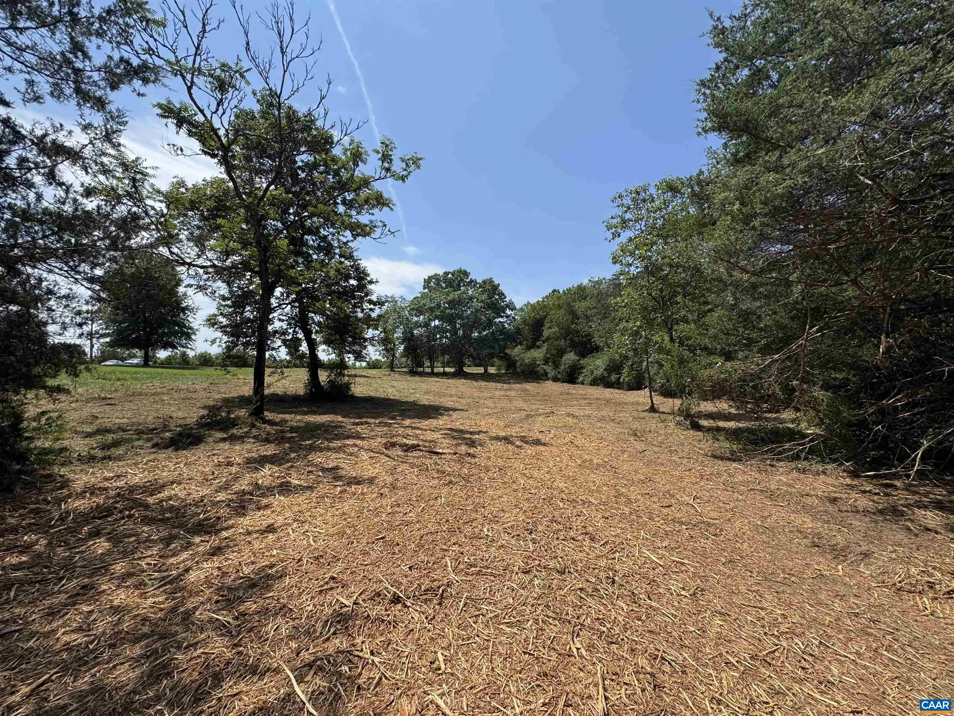 Watt Abbitt Rd, Appomattox