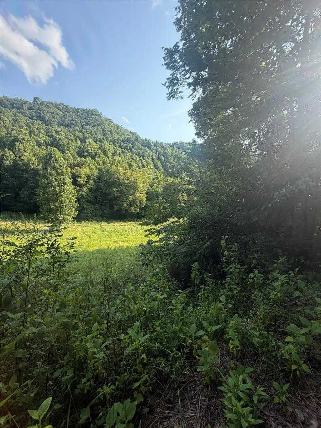 Tbd Trout Creek Road, Glenville