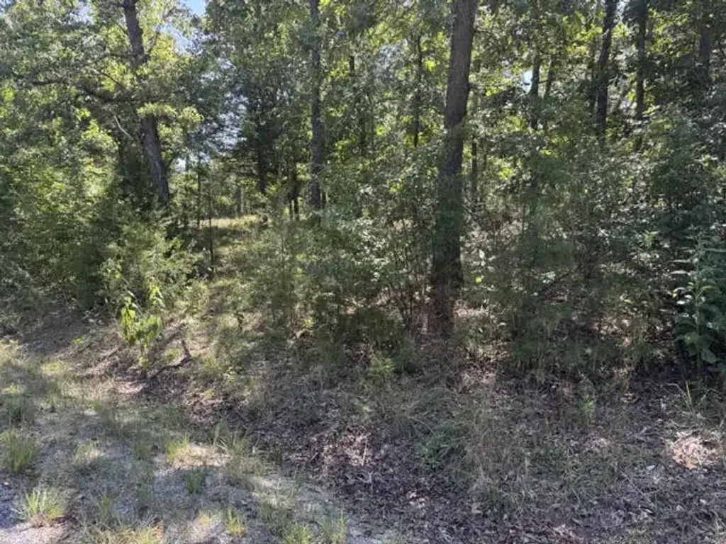 124 Valley Drive, Holiday Island