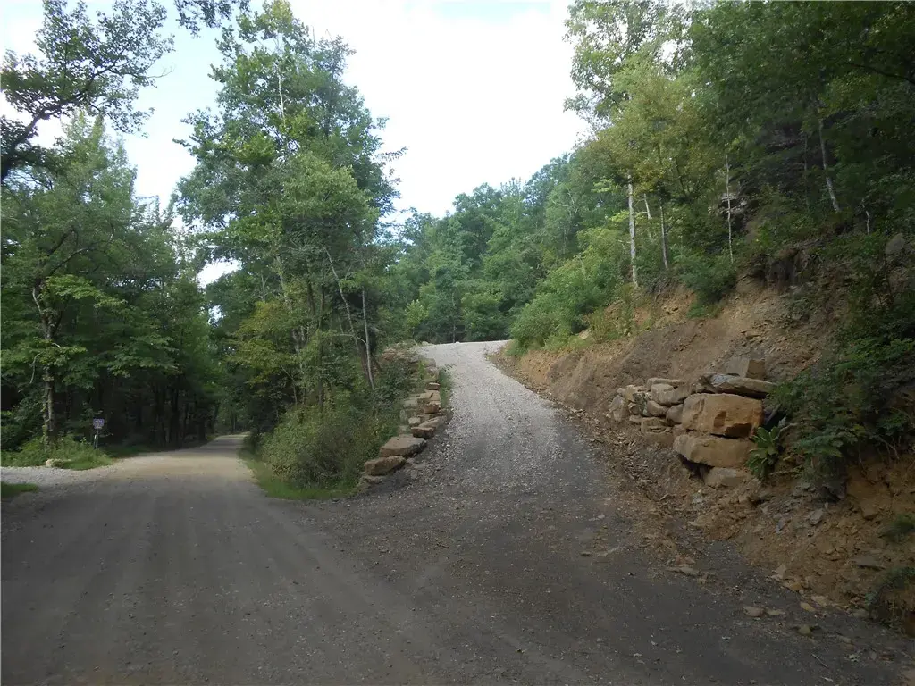 Tract 3 Madison 4275 Road, Elkins