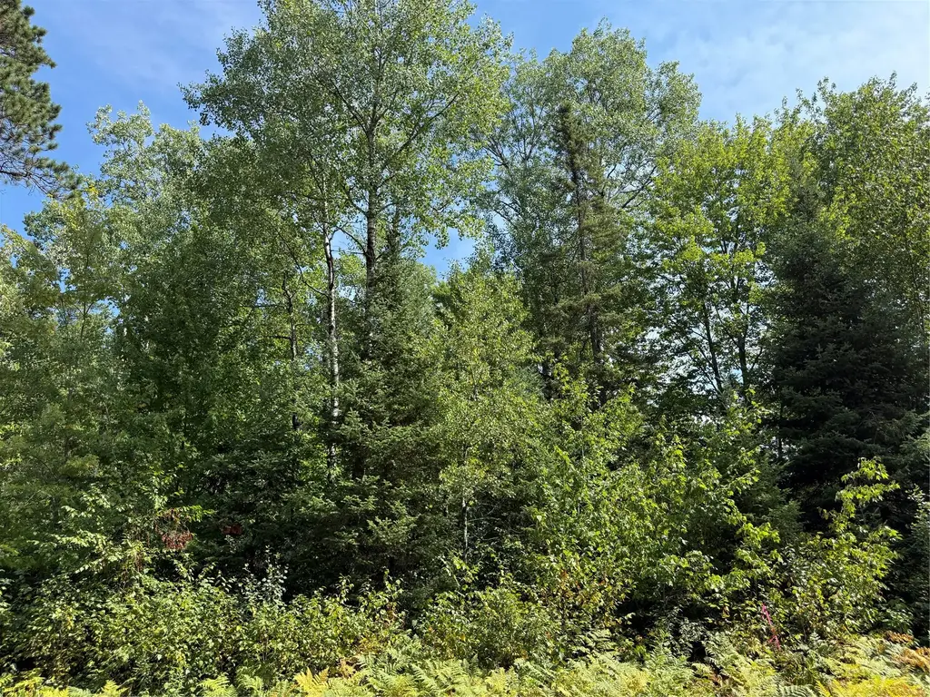 Lot 38 & 39 Stone Pine Drive, Cable