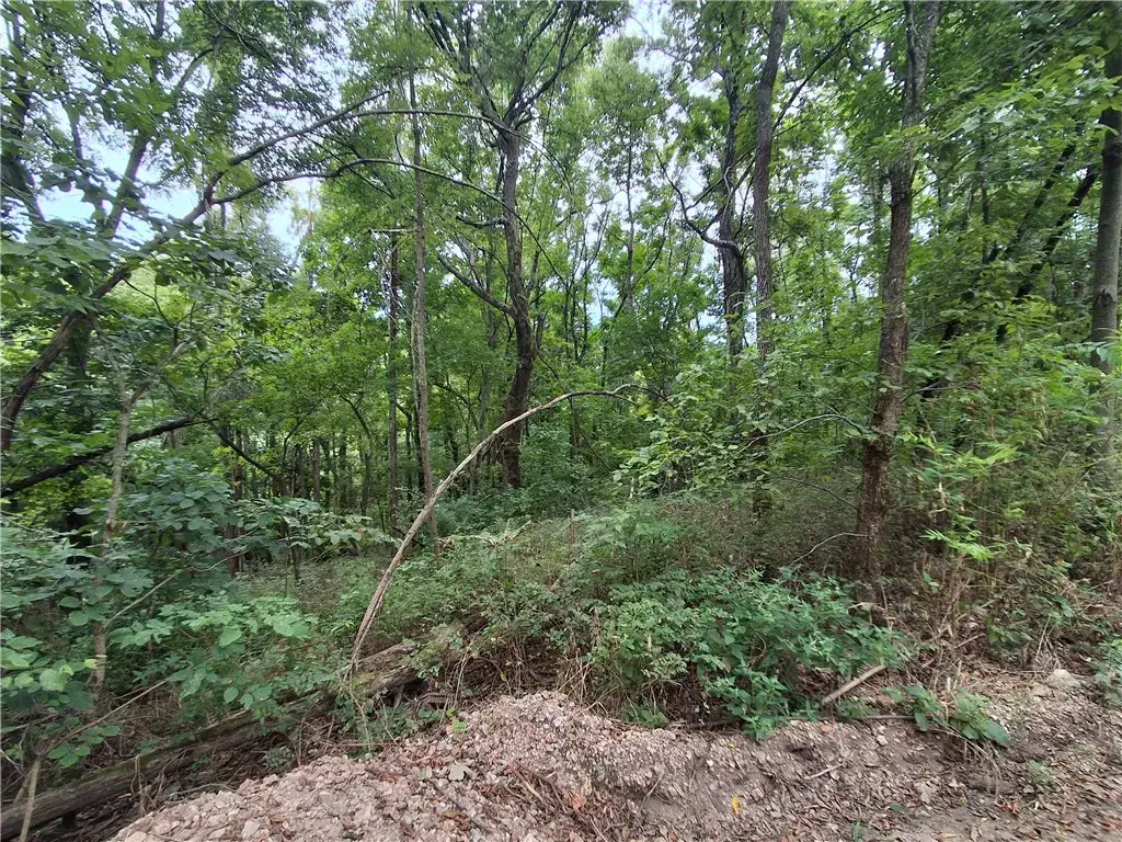Tbd County Road 517, Berryville