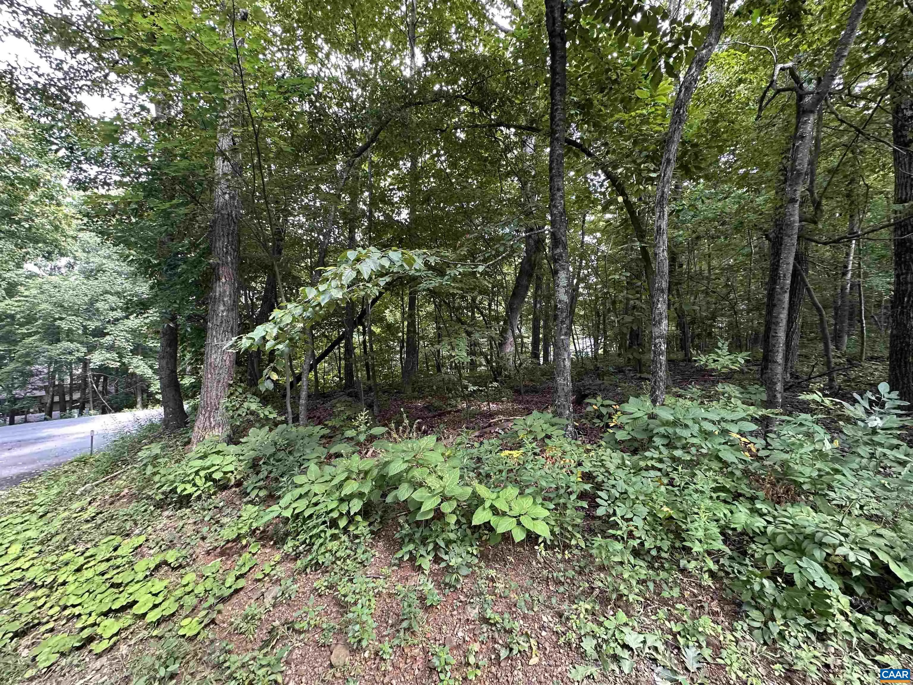 11 Fairway Oaks Ln, Wintergreen Resort