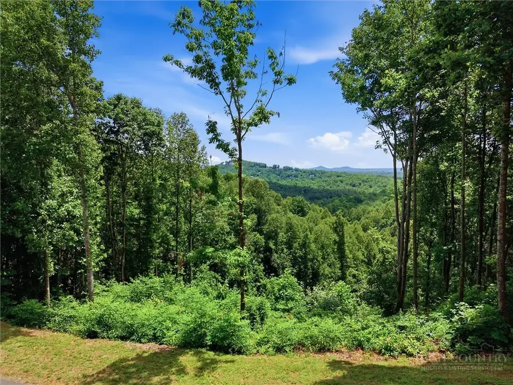 1288 Johns Ridge Parkway, Lenoir